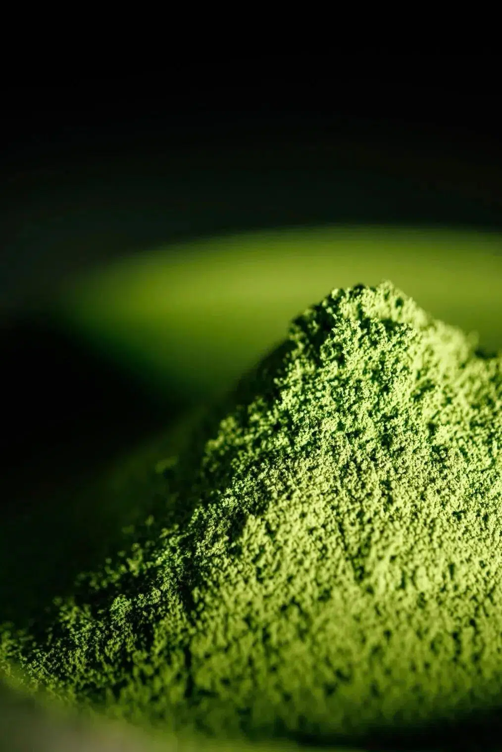 What is Matcha Powder? A B2B Guide for Food & Beverage Brands