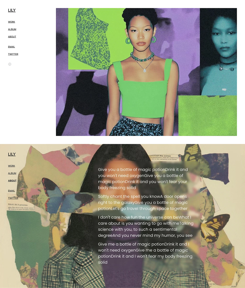 Visual Artist Portfolio & Album