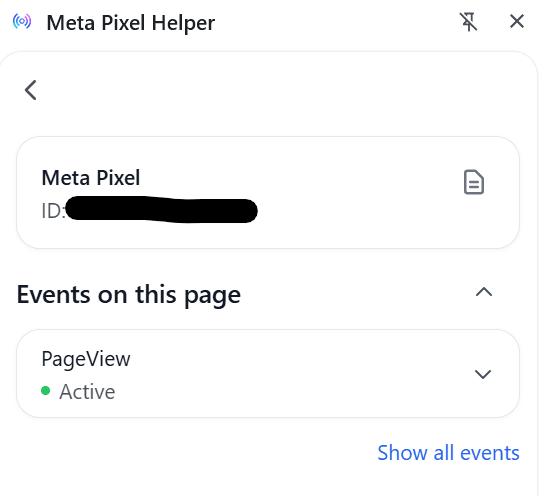 Meta Pixel Helper result