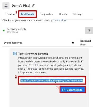 Enter the website URL to test