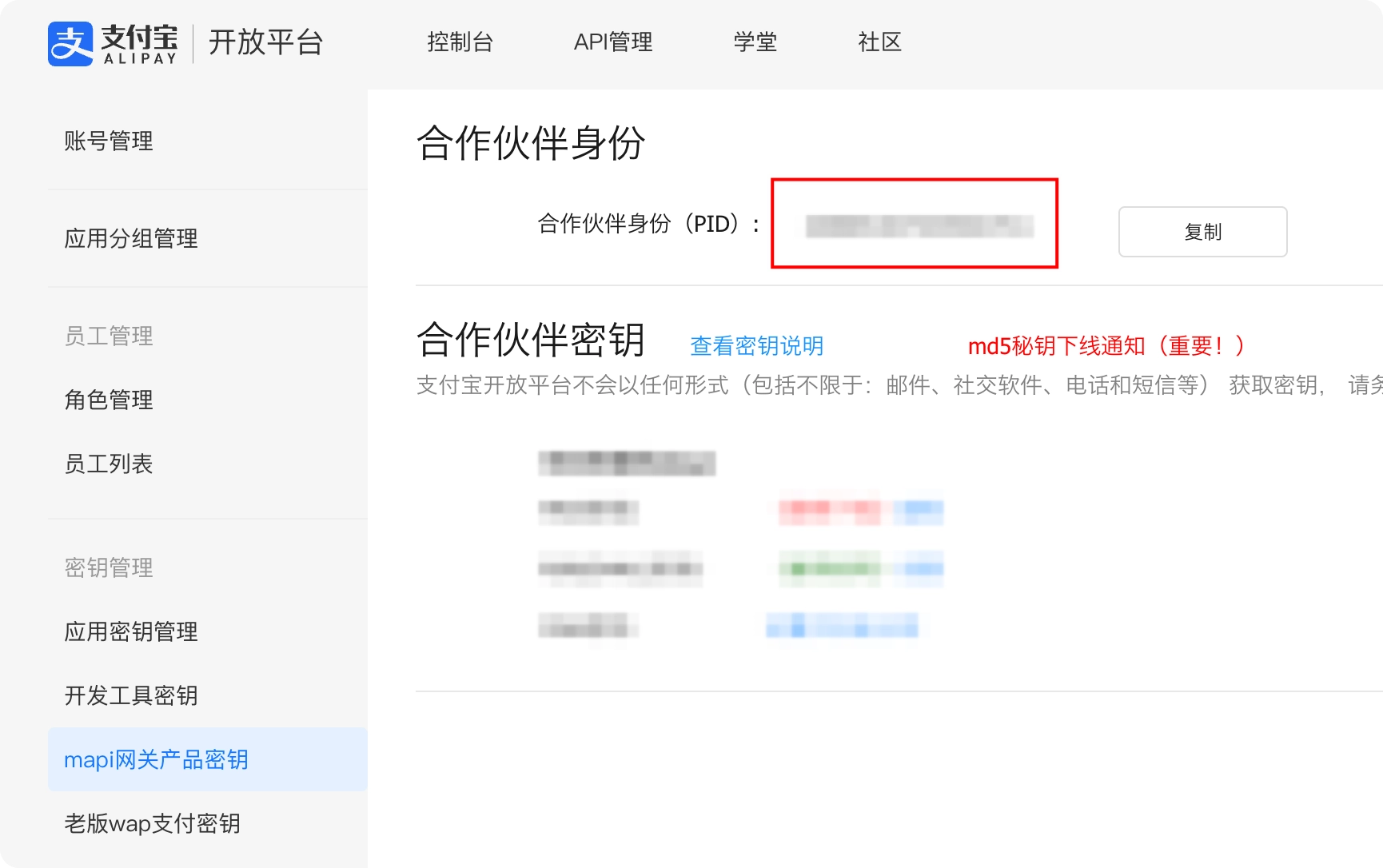 The Alipay Open Platform partner identity page