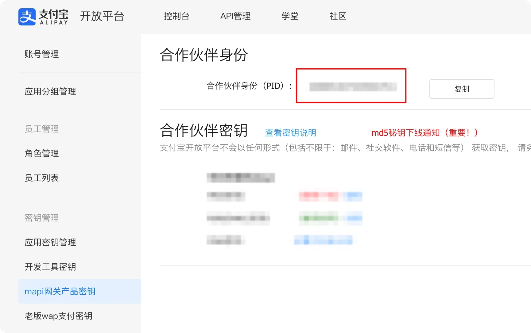 The Alipay Open Platform partner identity page