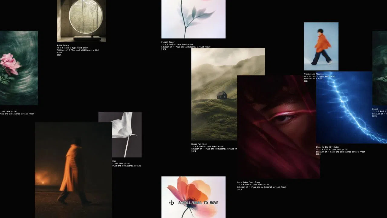 Showcase · Infinite Canvas