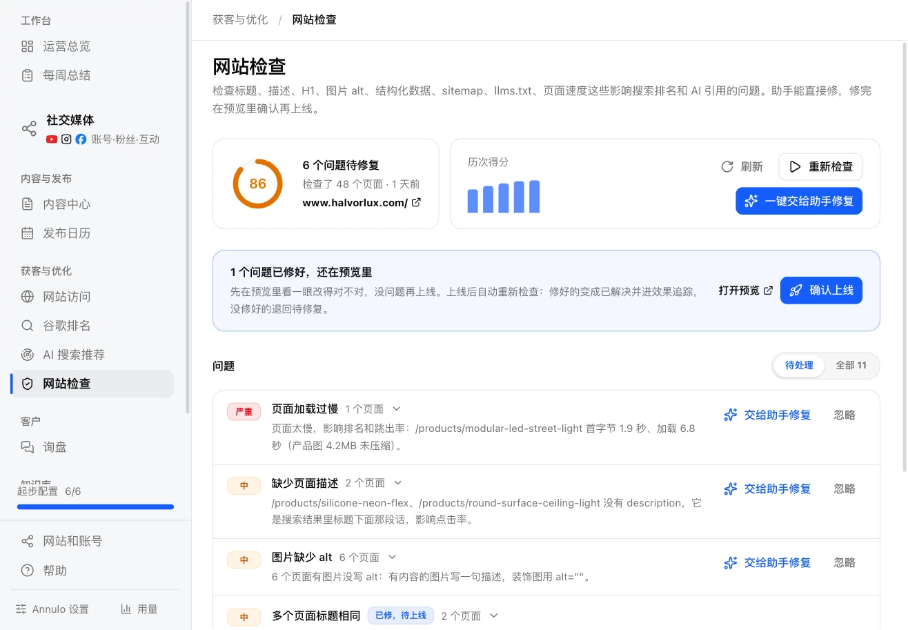 Site check: issue list