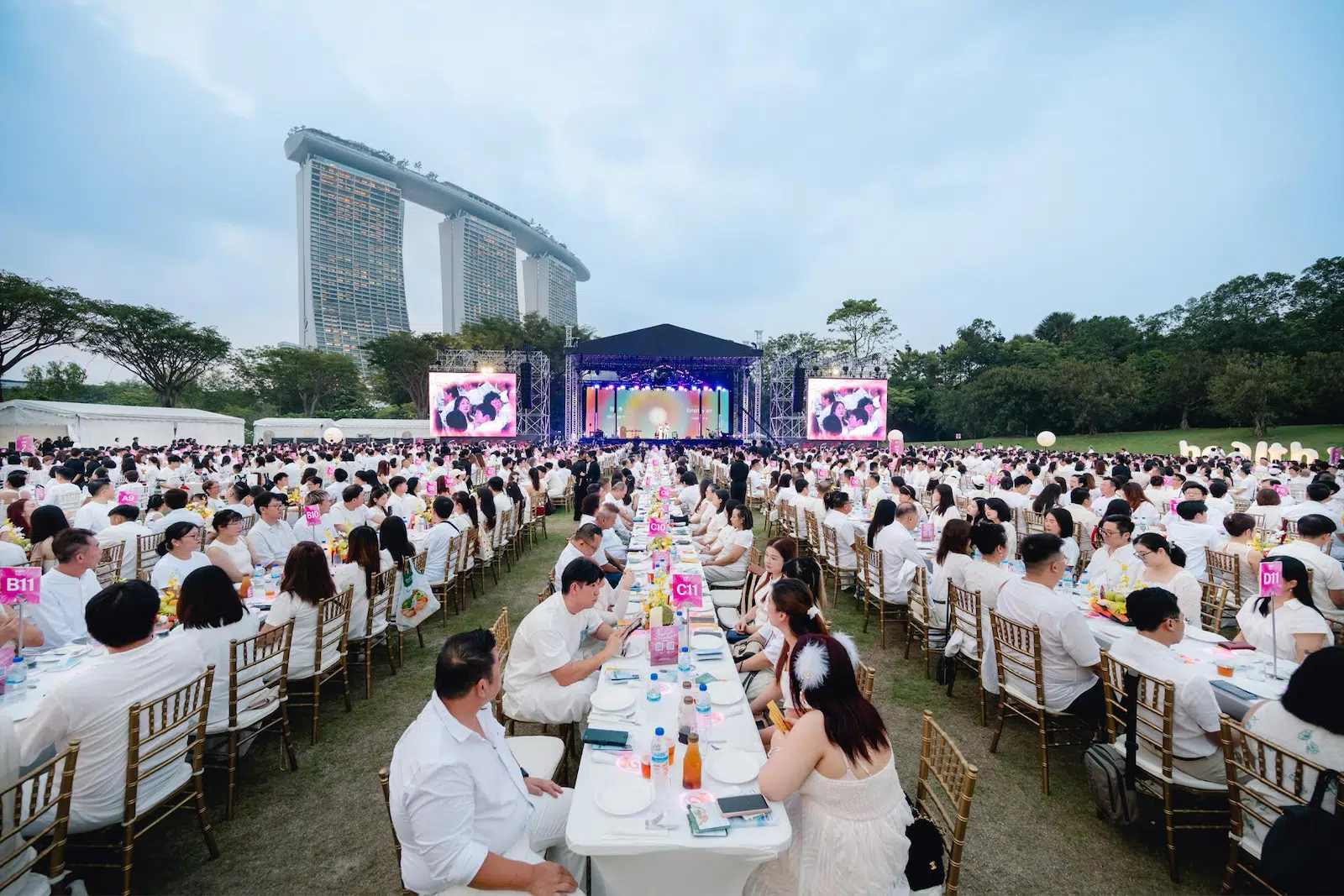 HiFY dinner experience